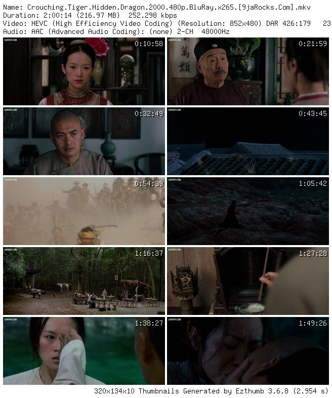 crouching-tiger_-hidden-dragon-2000-480p-bluray-x265-my9jarocks.info_thumb-6558594