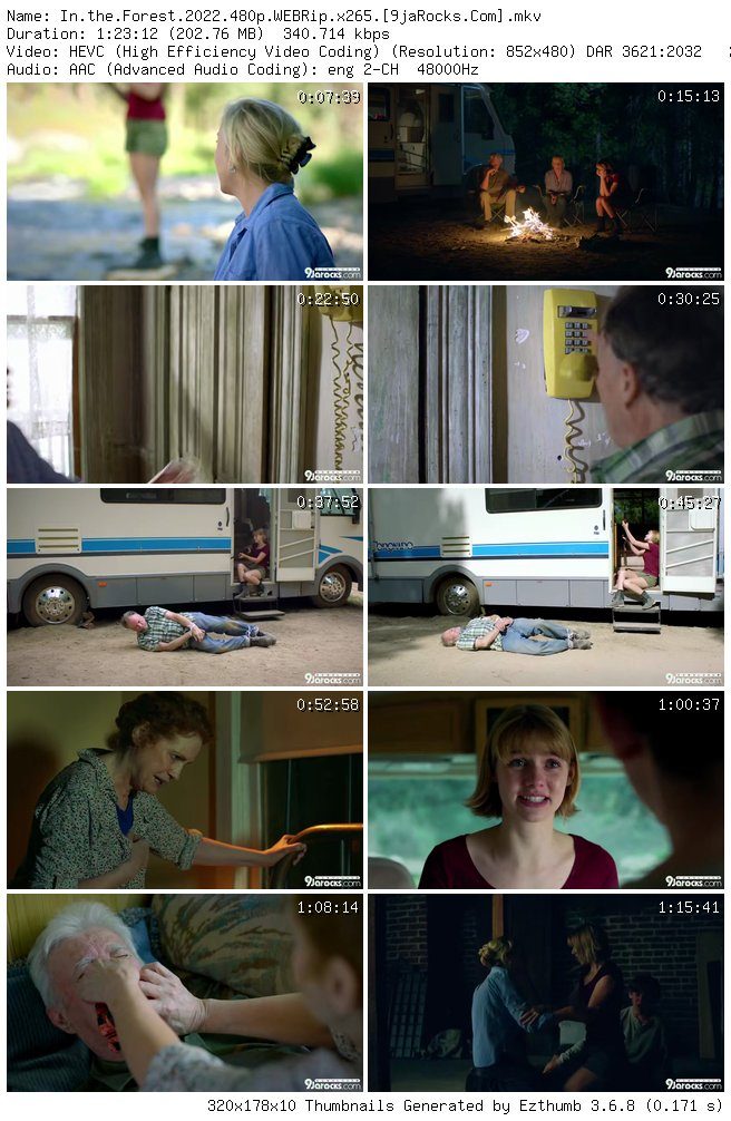 in-the_-forest-2022-480p-webrip-x265-my9jarocks.info_thumb-3893779
