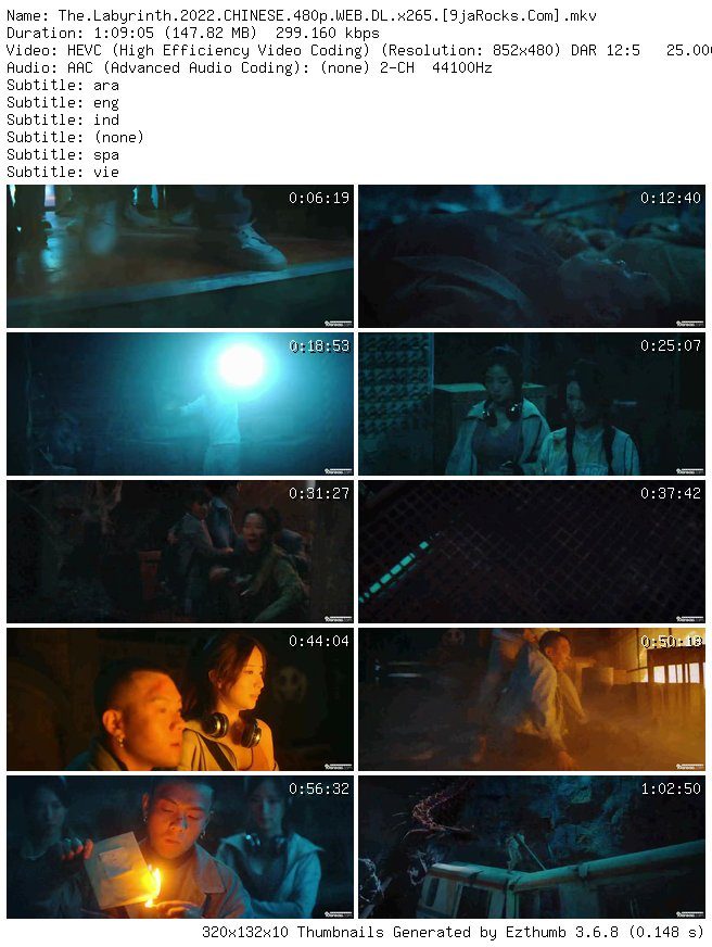 the-labyrinth-2022-chinese-480p-web_-dl_-x265-my9jarocks.info_thumb